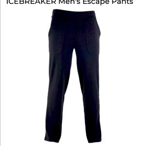 Icebreaker pants